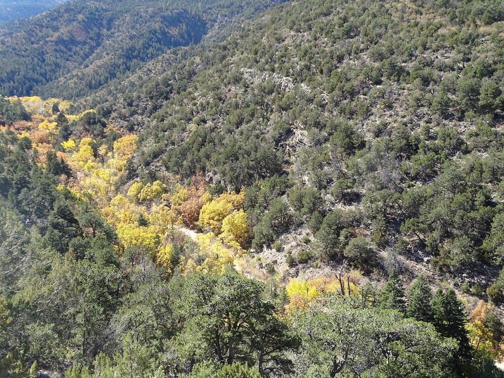 Scenic fall colors in the canyon