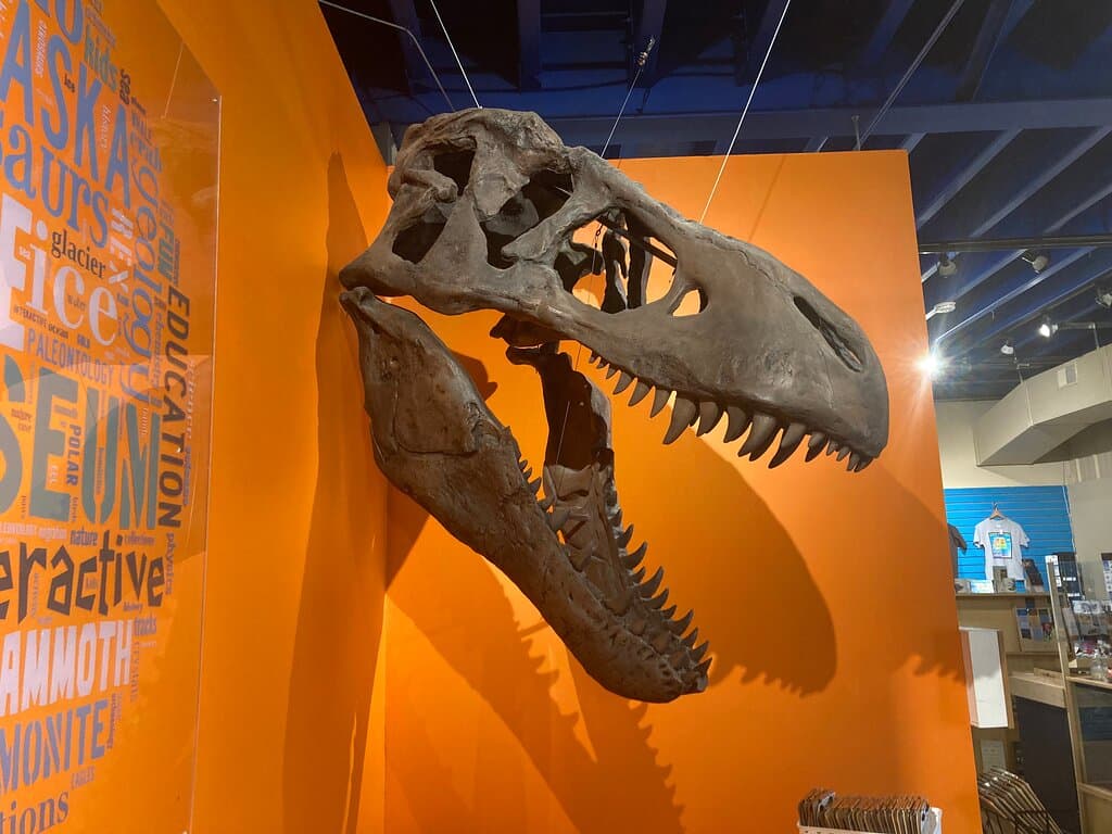 Our T-Rex skull will greet you on your way in!