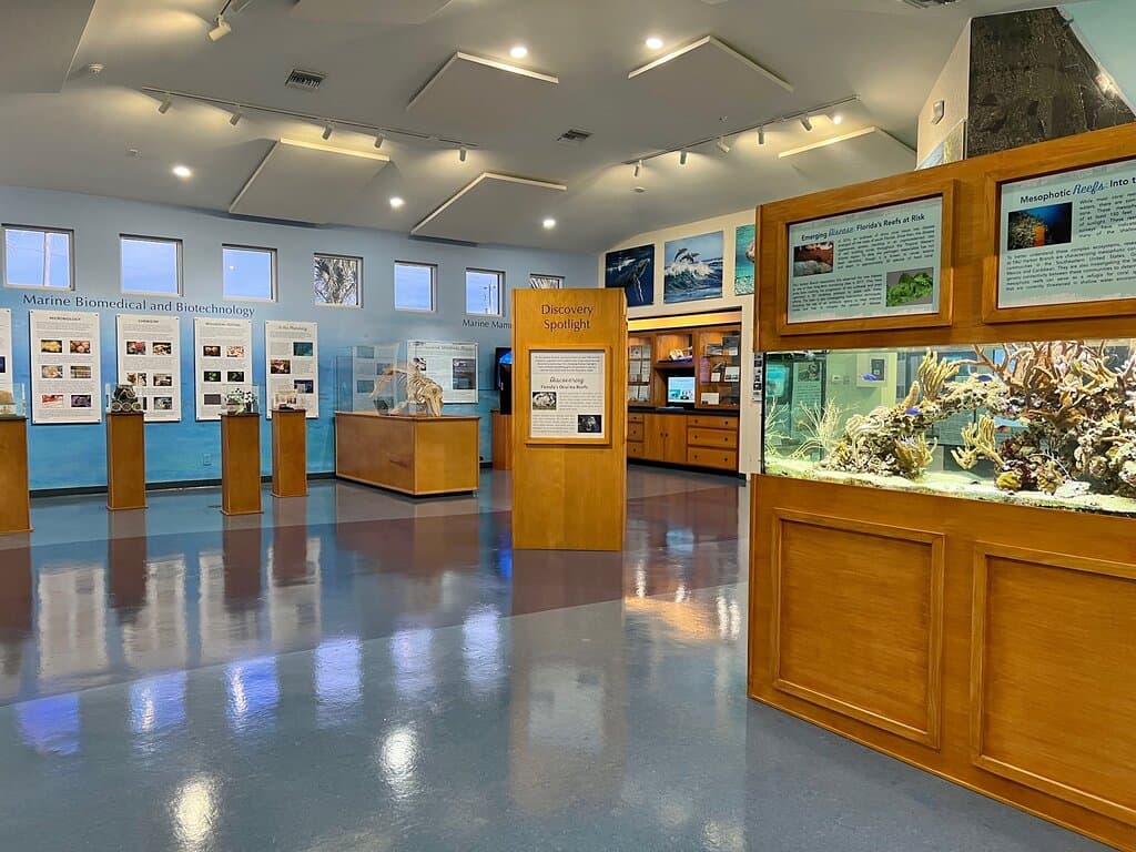 The Ocean Discovery Visitors Center showcases the research conducted at FAU Harbor Branch Oceanographic Institute. Take a self-guided tour of the center or sign up for a daily tour of the research campus. 