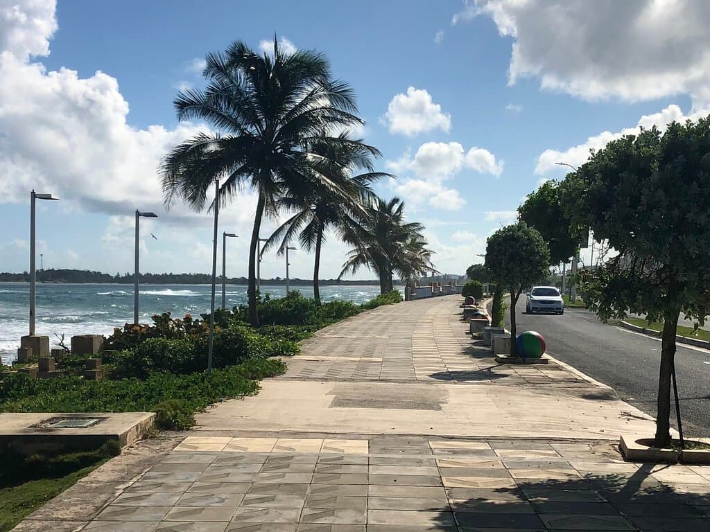 Foto del paseo.