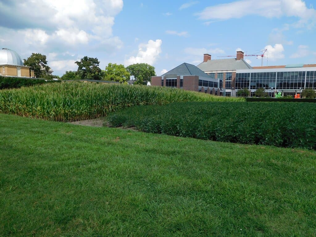 The Morrow Plots
