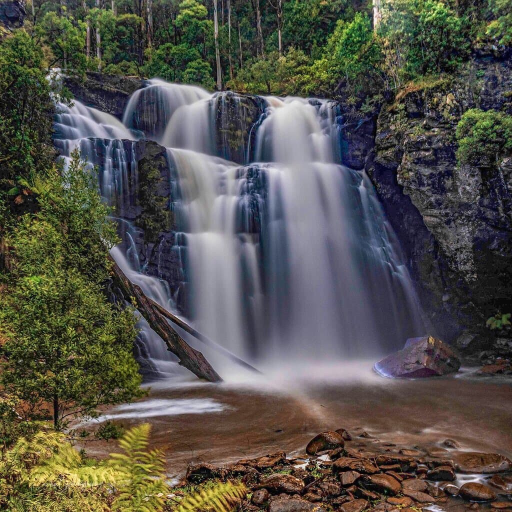 Stevensons Falls Barramunga