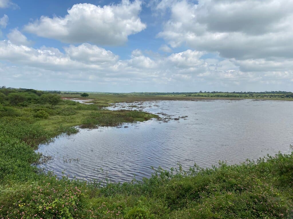 View of Hesaraghatta lake