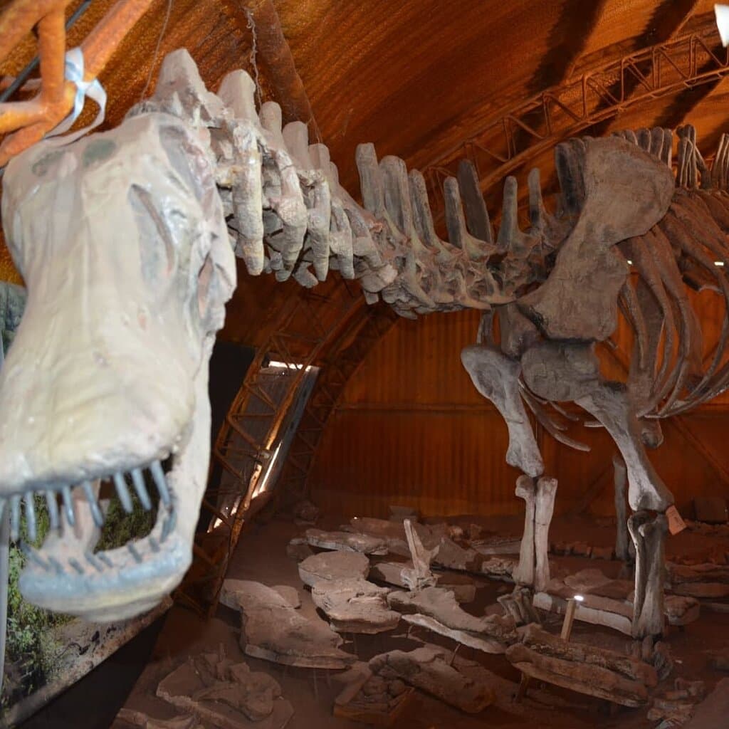 Centro Paleontológico Lago Barreales