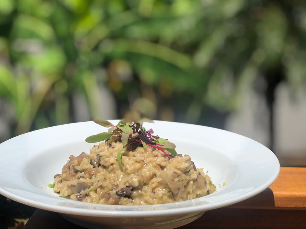 Risoto de cordeiro 