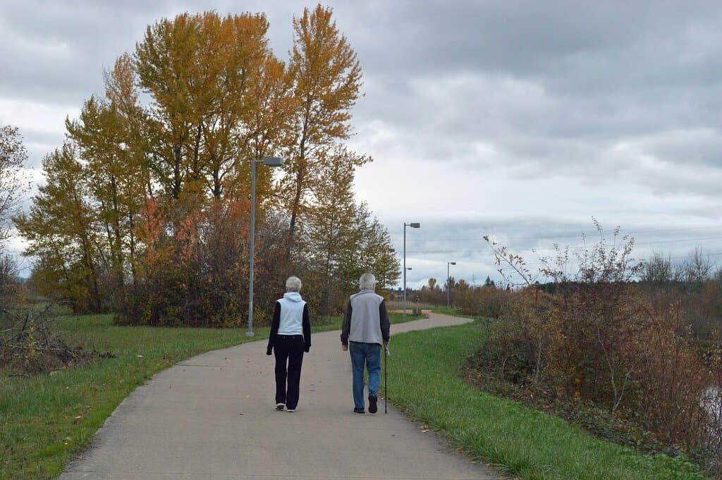 Fern Ridge path offers a peaceful stroll on a beautiful fall day