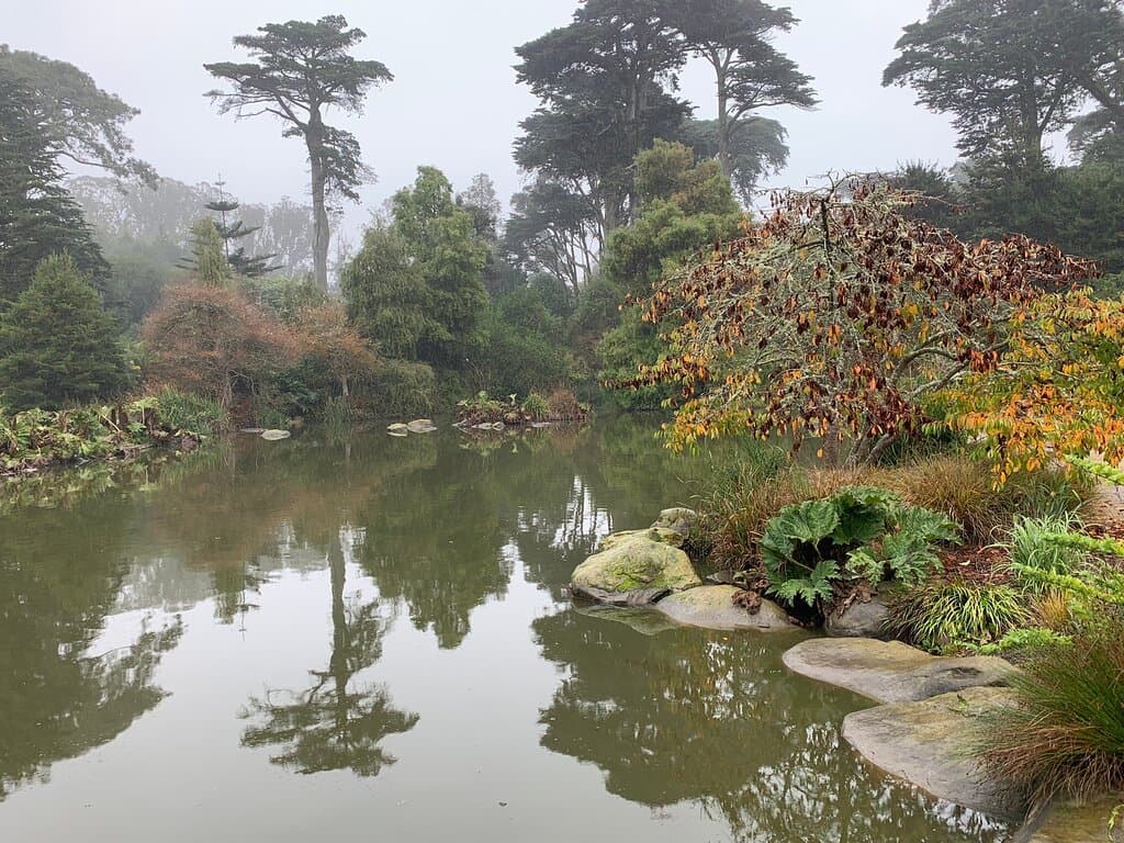 San Francisco Botanical Garden San Francisco