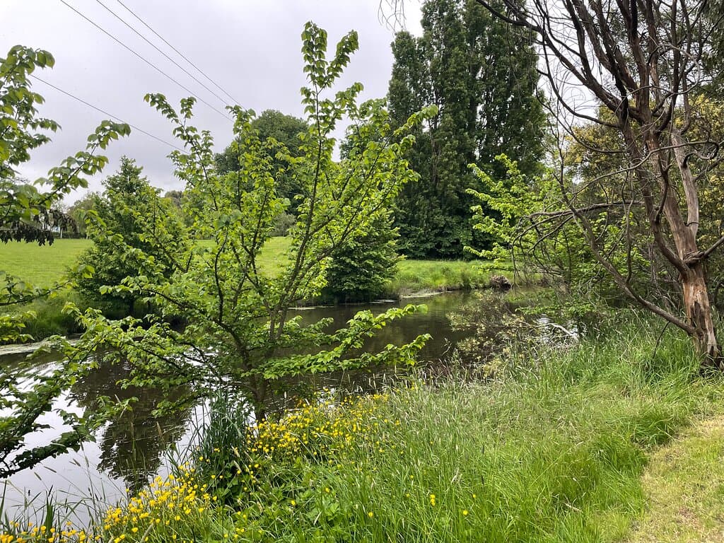 Campaspe River Walk