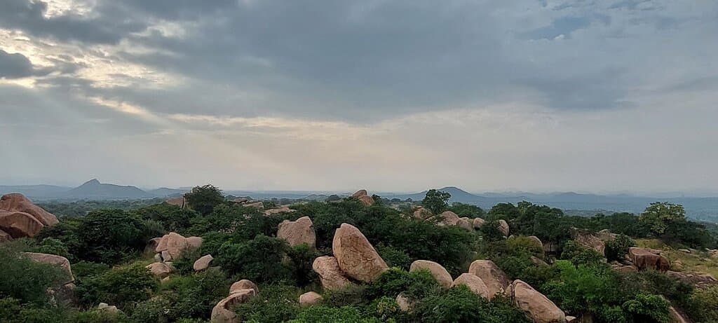 Views from the watch tower