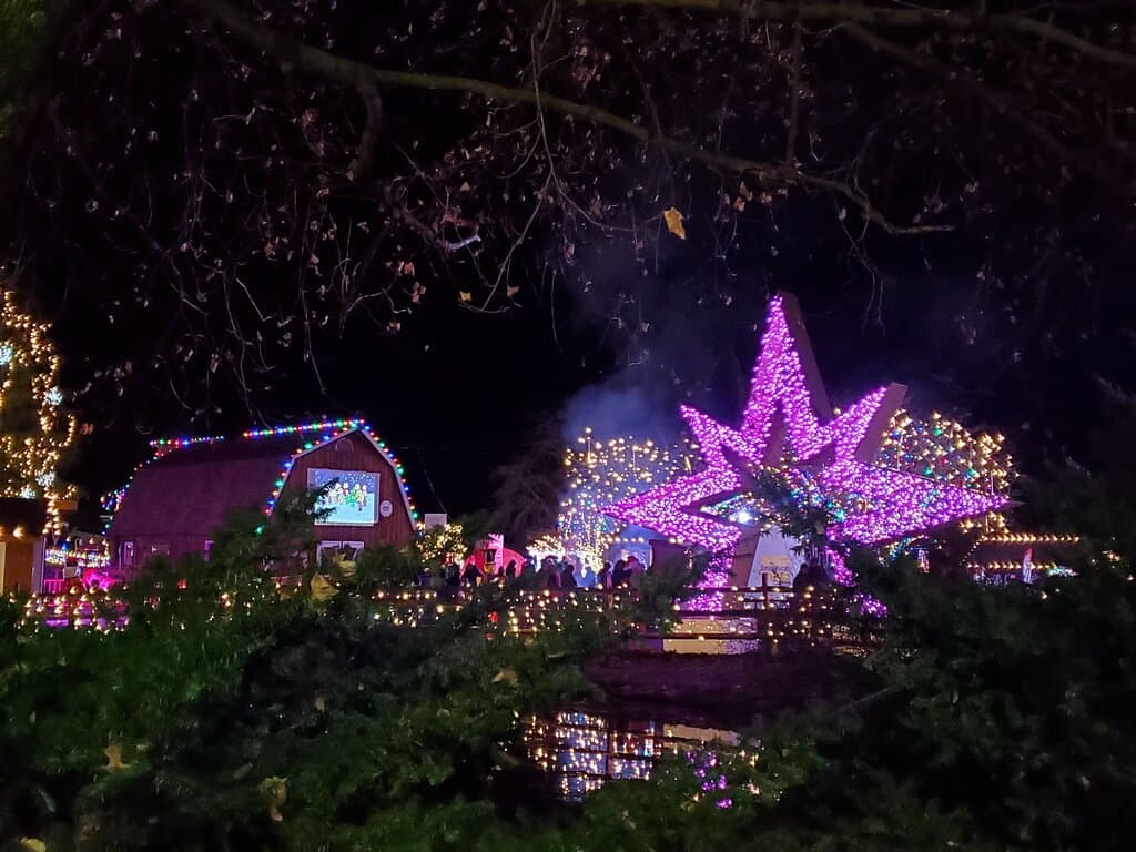 My favorite pic of the night - the  view of the goat barn from the other side of the duck pond