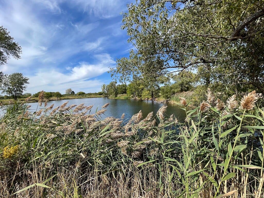 Midewin National Tallgrass Prairie