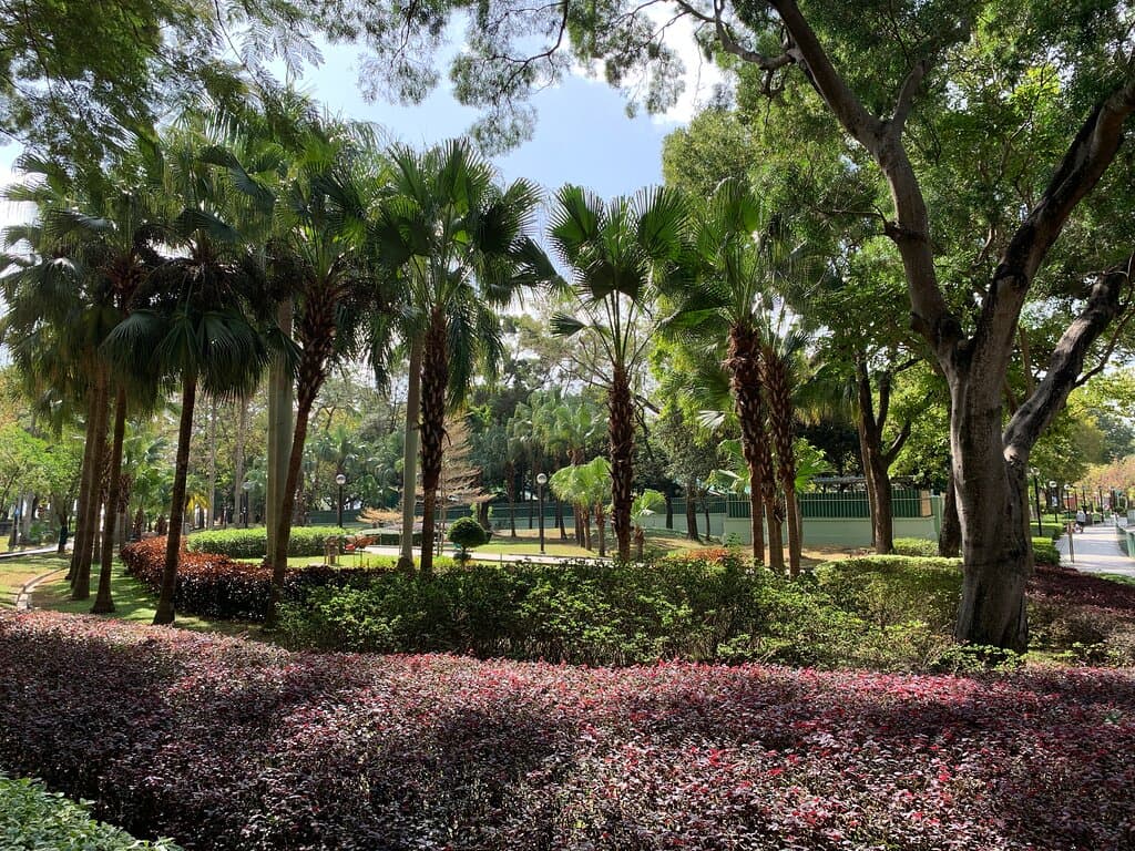 Butterfly Beach Park - nice trees