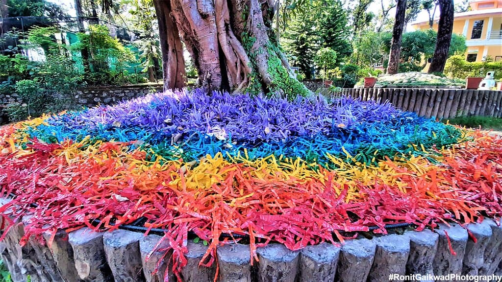 Decoration with Plastic Bottle