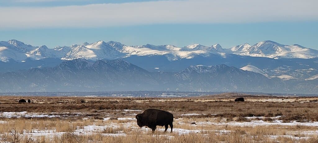 Rocky Mountain Arsenal National Wildlife Refuge