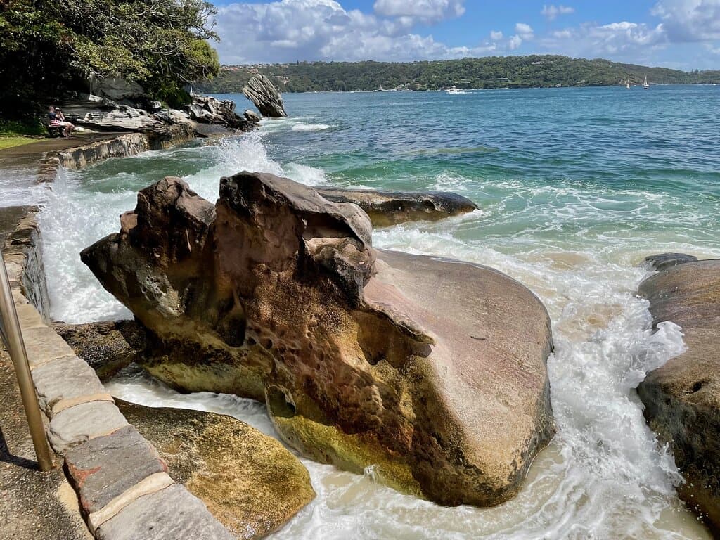 Shark Beach is a harbour beach, protected by rocky, bushy headlands. It is sheltered, the water is glistening and  the waves are gentle, making it a very pretty and popular spot. 