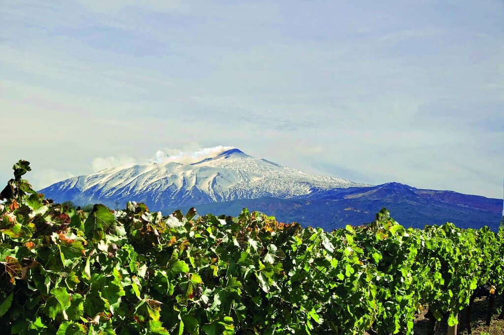 Siamo figli dell’Etna e il Vulcano è una costante positiva della nostra storia da più di centoquaranta anni.  Un terreno fertile per la crescita della vite che dà vita a vini di eccellenza e prestigio al territorio. Produrre vino, per noi, significa presentare al mondo questo luogo unico e la sua tradizione enologica fatta di braccia operose e dedizione secolare.  