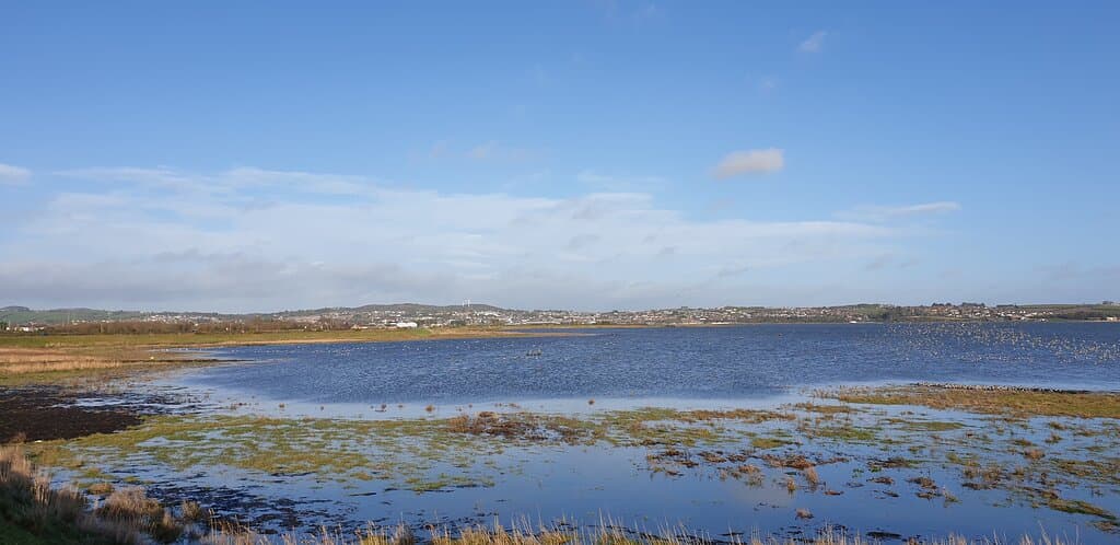 Flood Gate Walk 1