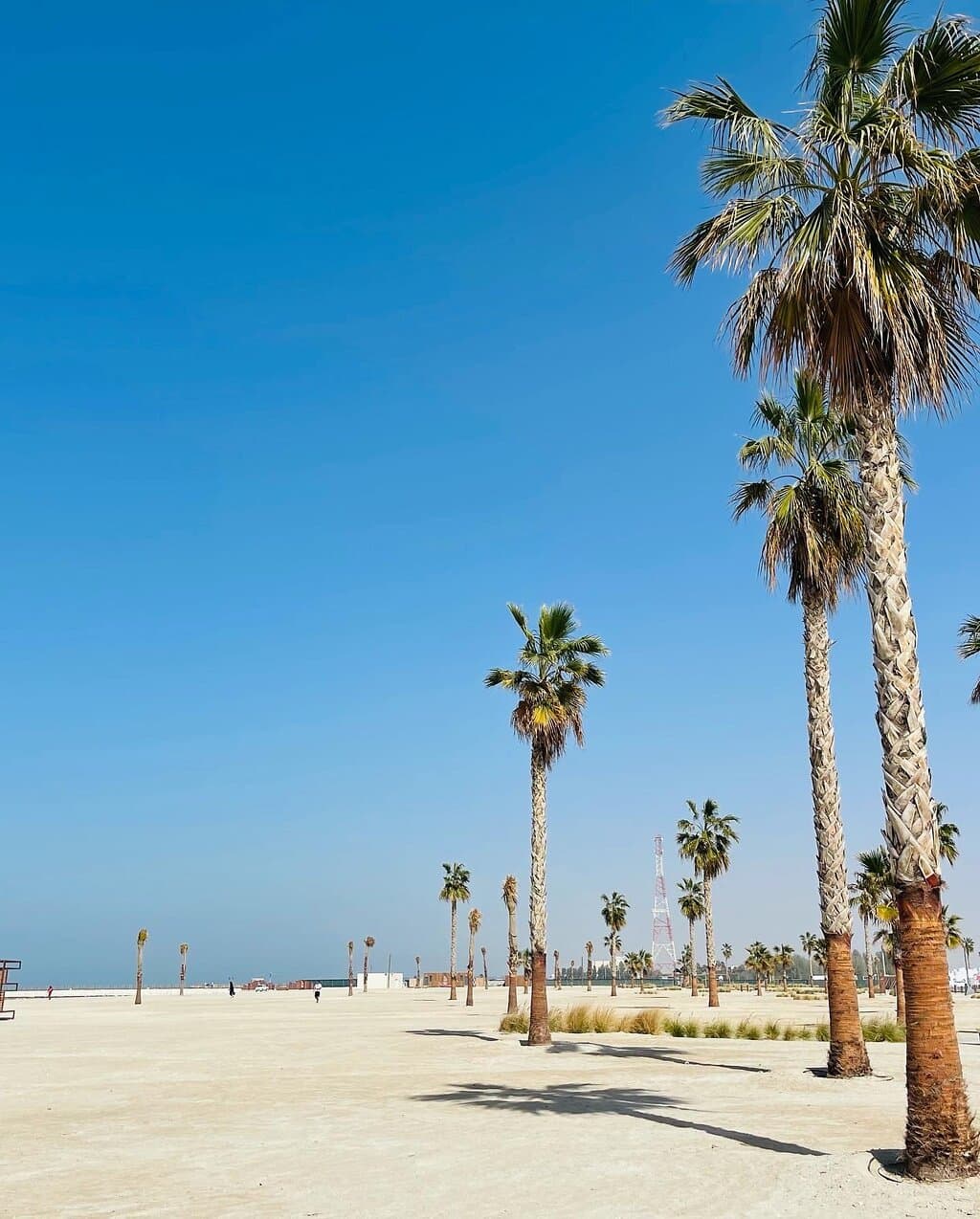 Bilaj Al Jazayer Beach