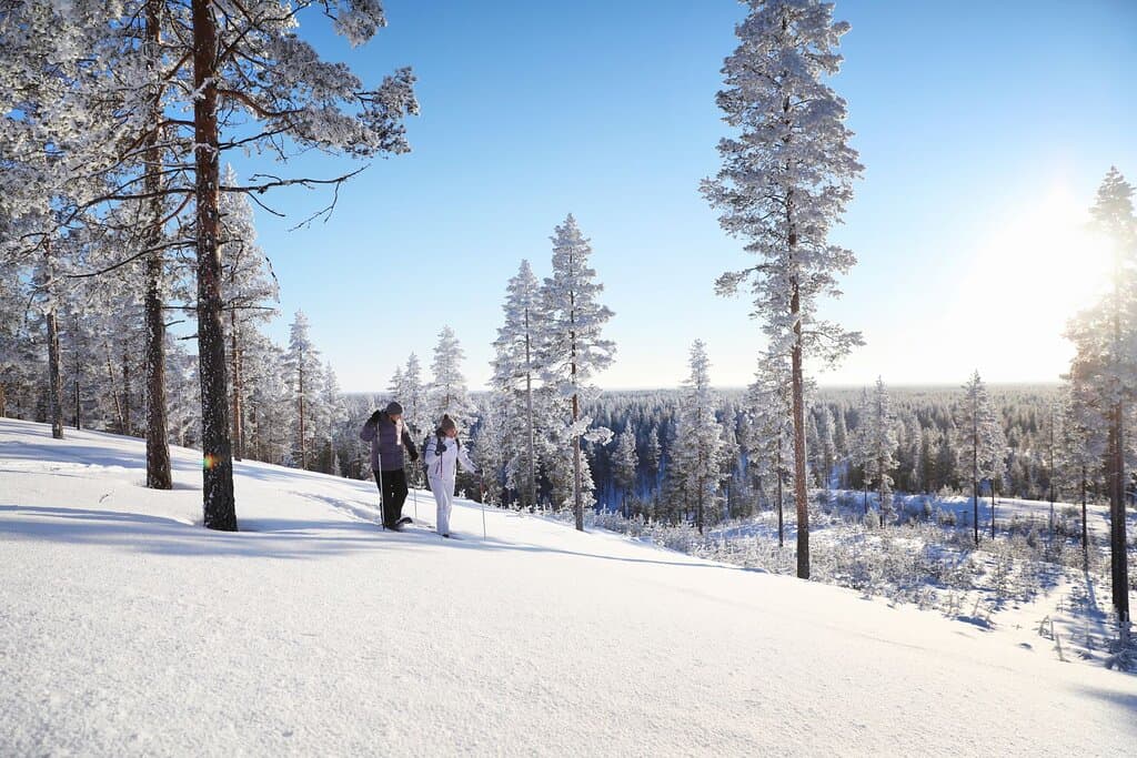 Rokua National Park is located in the middle of Rokua UNESCO Global Geopark. It is one of Finland's oldest national park, and it protects the unique esker formations and their sensitive natural features in Rokua area.  Photo: Harri Tarvainen / Rokua Geopark