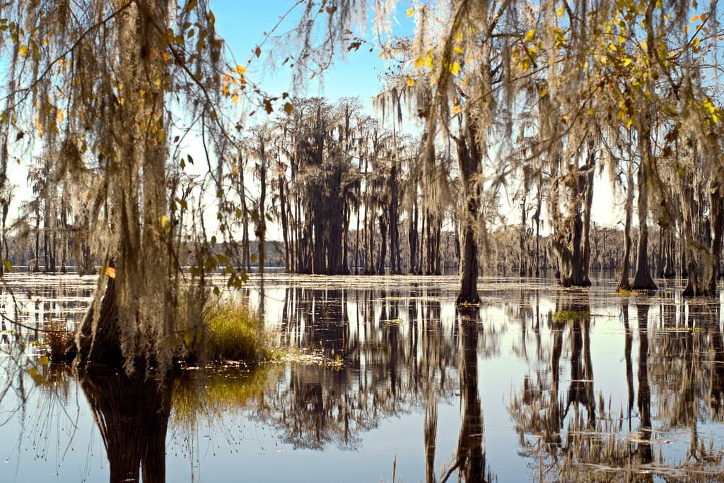 Off the beaten path.