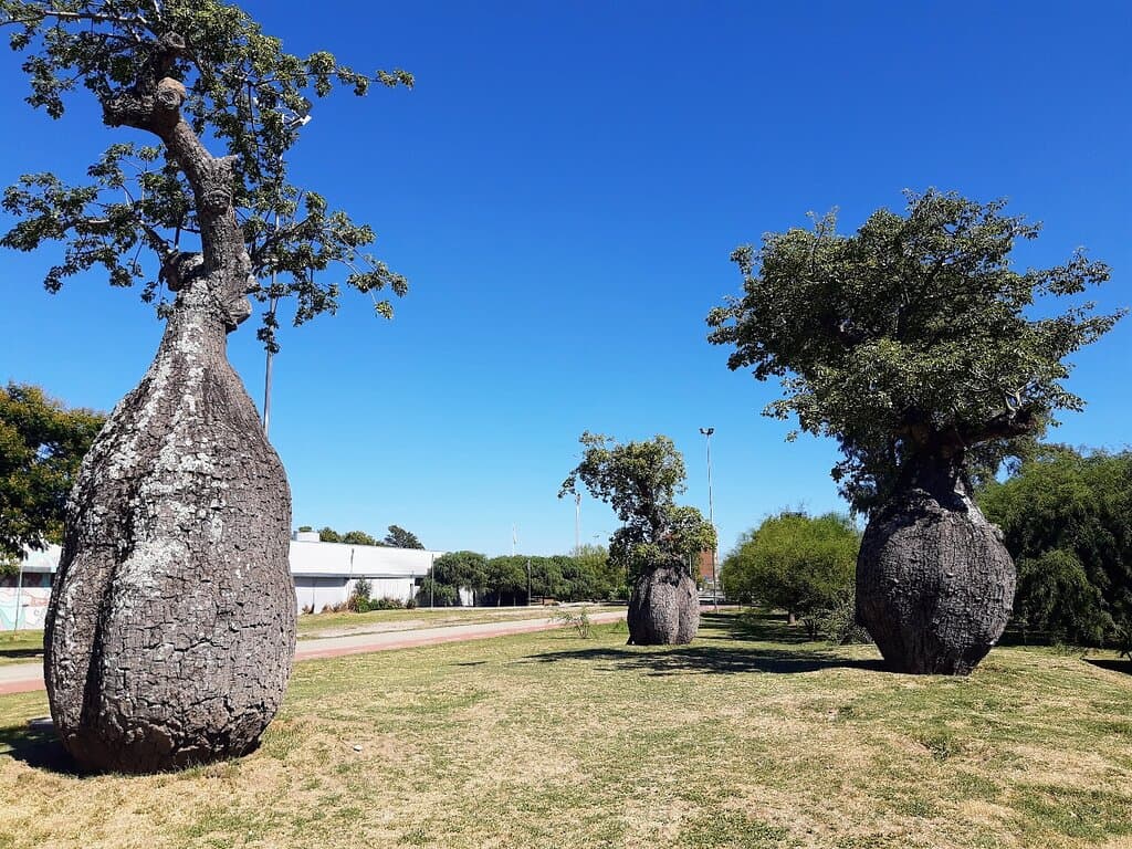 Parque de Vida