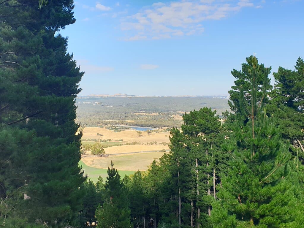 View