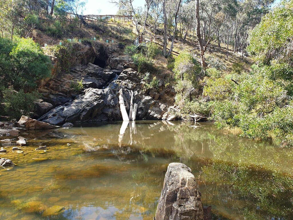 The Blowhole