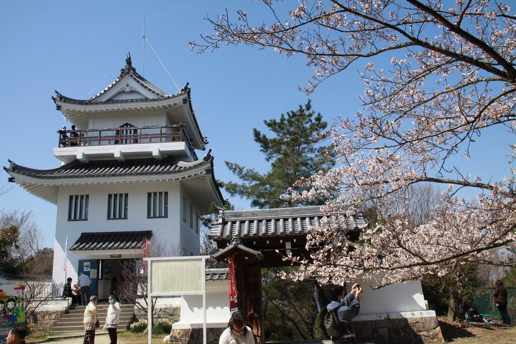 Ono Castle Ruins