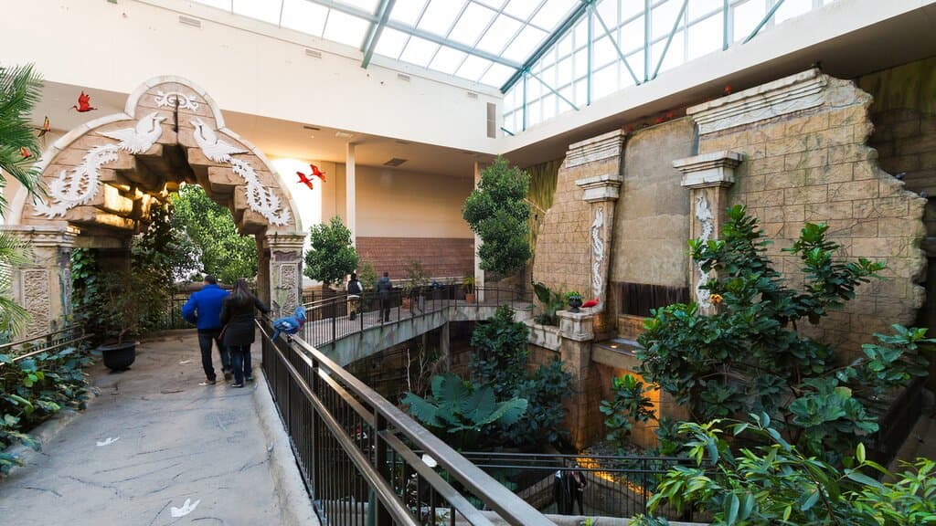 Main Aviary