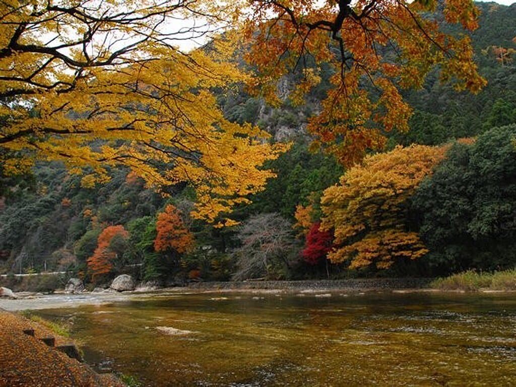 Yuya Gorge