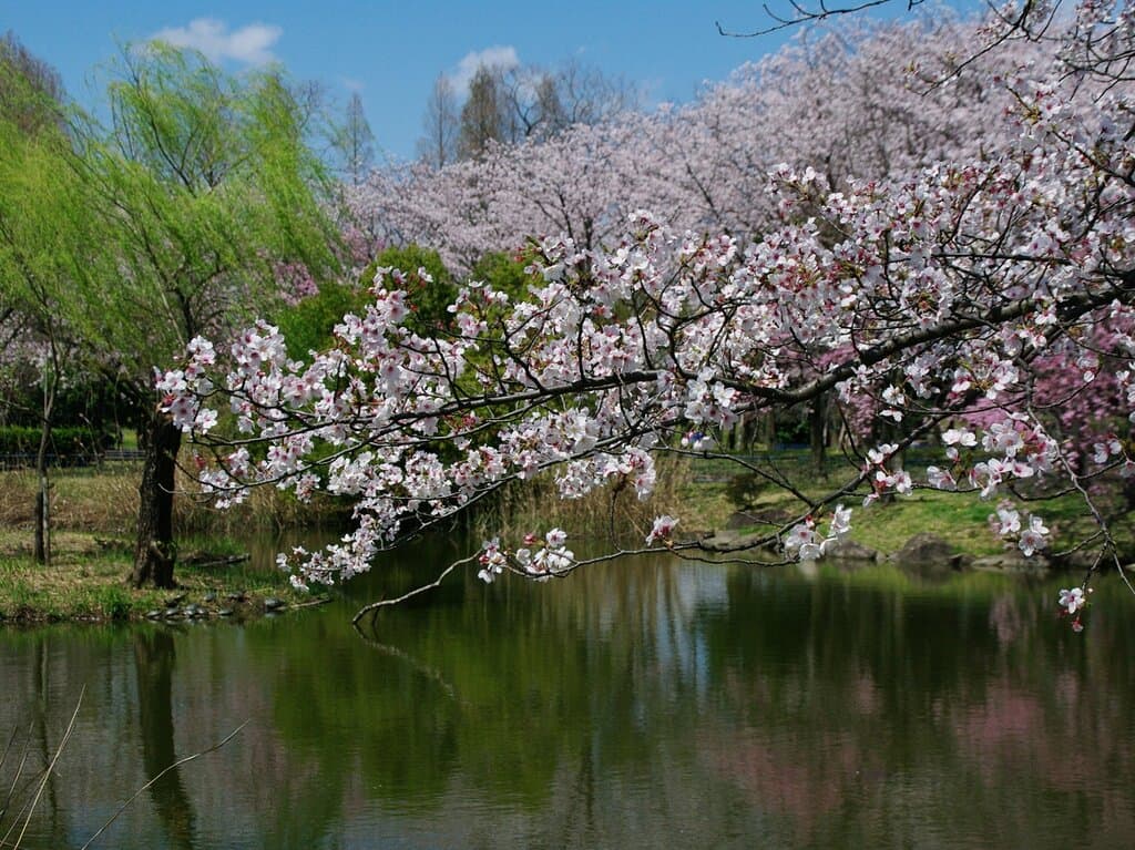 Shonai Ryokuchi Park