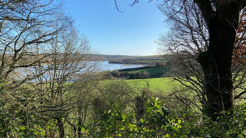 Lovely area to walk with several different paths to choose from