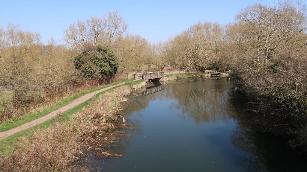 The boardwalk leads to the River Stort