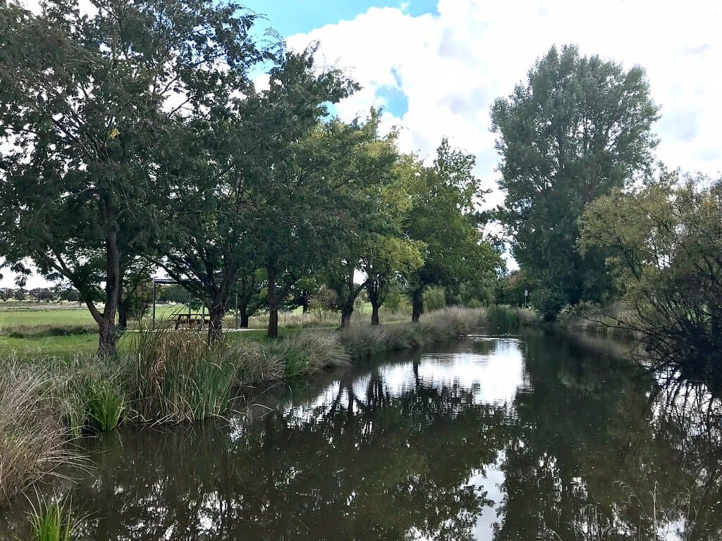 Mother of Ducks Lagoon Guyra