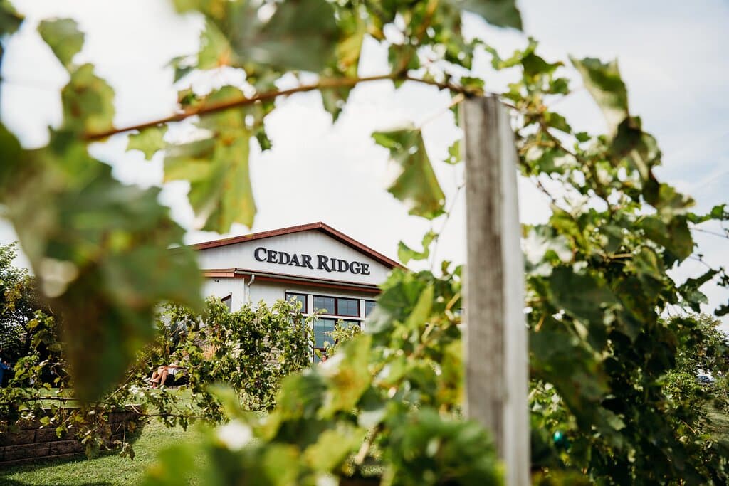 Not only is Cedar Ridge the only winery AND distillery in Iowa, Cedar Ridge became the first licensed distillery in Iowa since Prohibition in 2005.