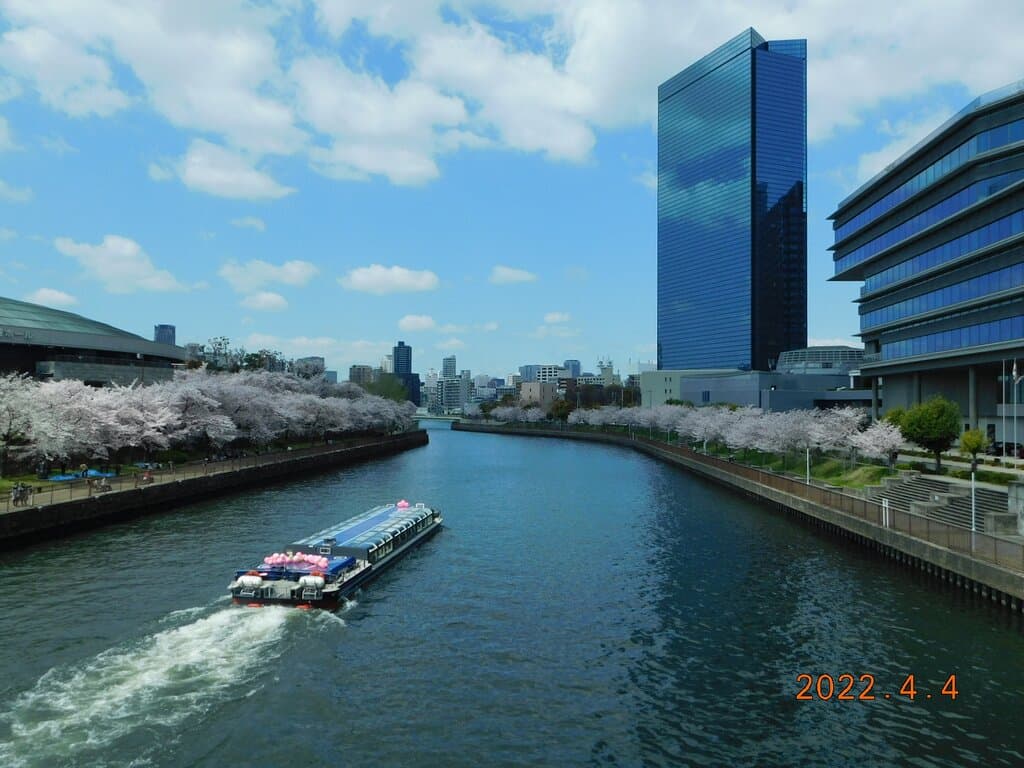 ｱｸｱﾗｲﾅｰ　お花見ｸﾙｰｽﾞ　