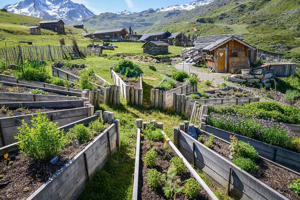 La Ferme de Pépé Nicolas