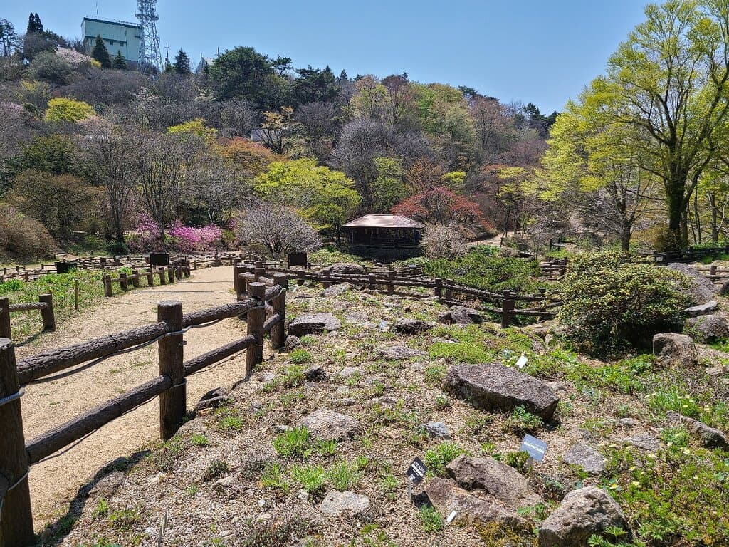 Rokko Alpine Botanical Garden