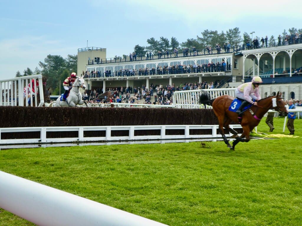 My winning horse leaving all the others well behind.