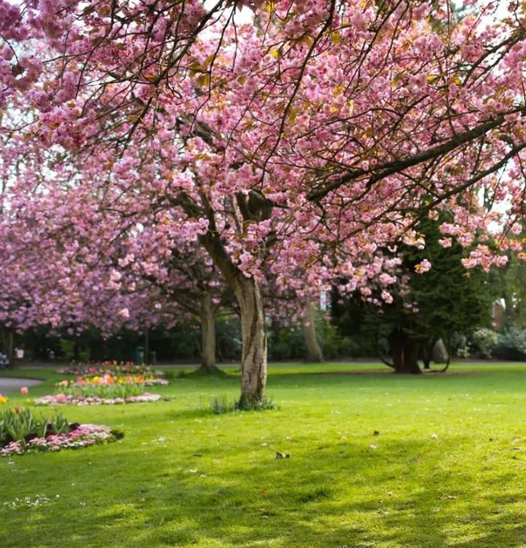 Blackrock Park
