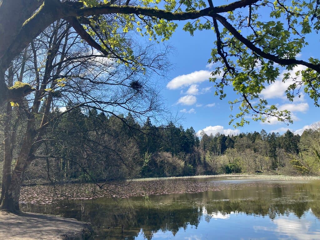 Donadea Forest Park