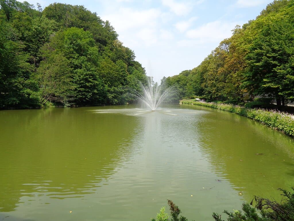 One of the ponds in Maribor City Park