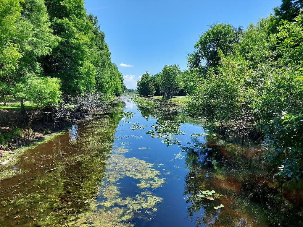 Great place to relax and to watch and enjoy wildlife just close to city.