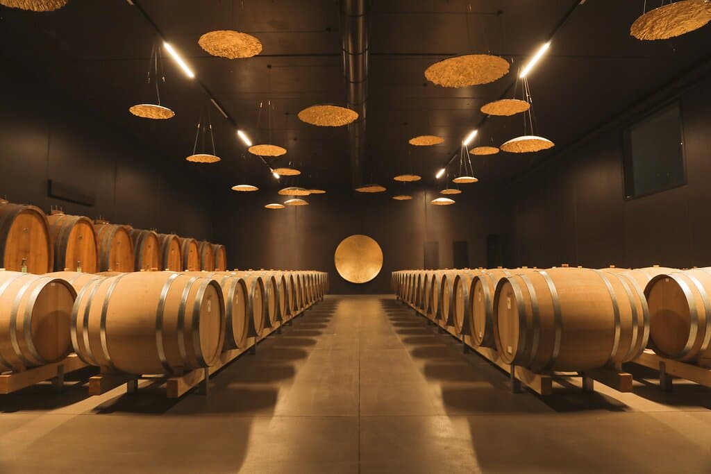 Immergetevi nella storia della famiglia e del Soave in un tour emozionante