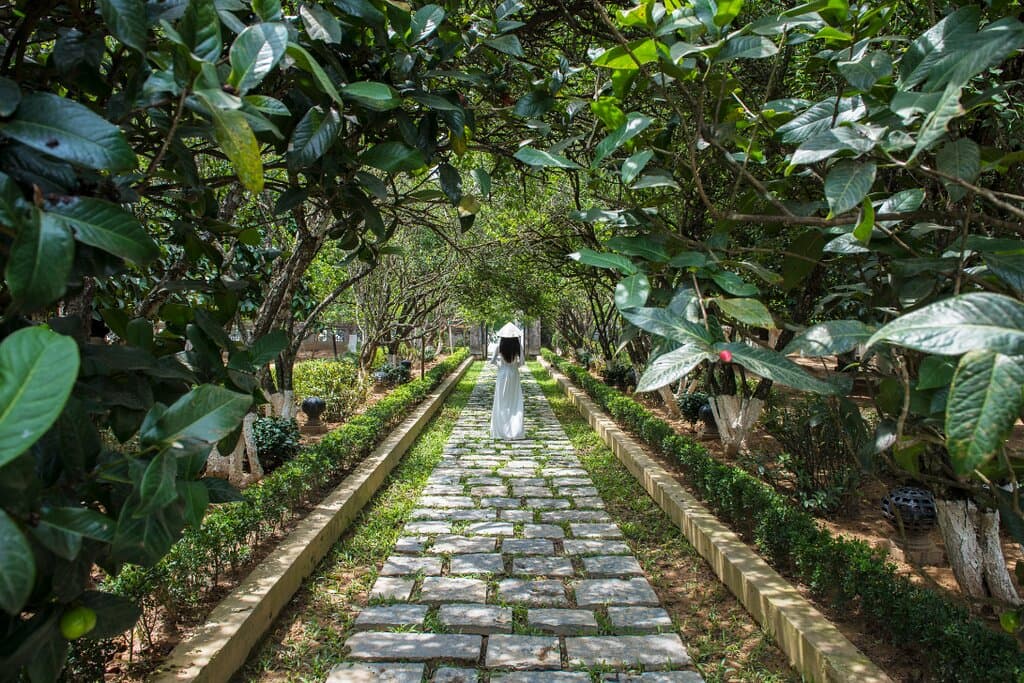 The romantic stone path that leads to the main house