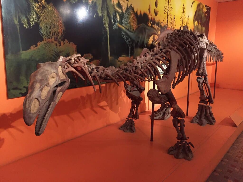 Representación a escala