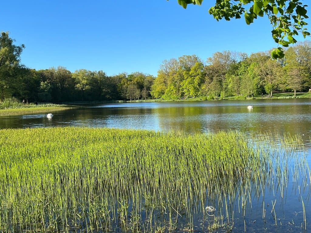 Max Aschmann Park