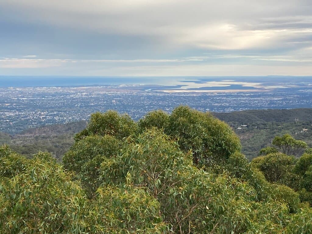 Views of the coast