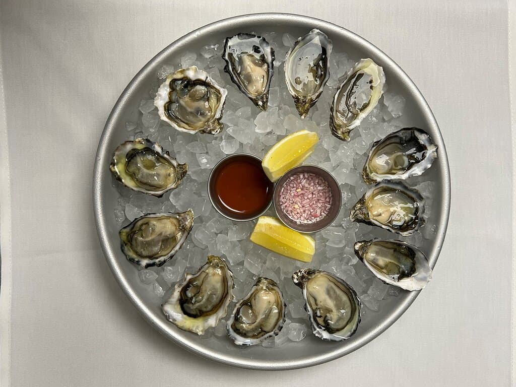 Oysters