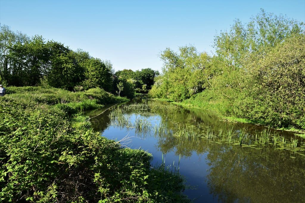 Reflections on the River Mole at Molesey Heath